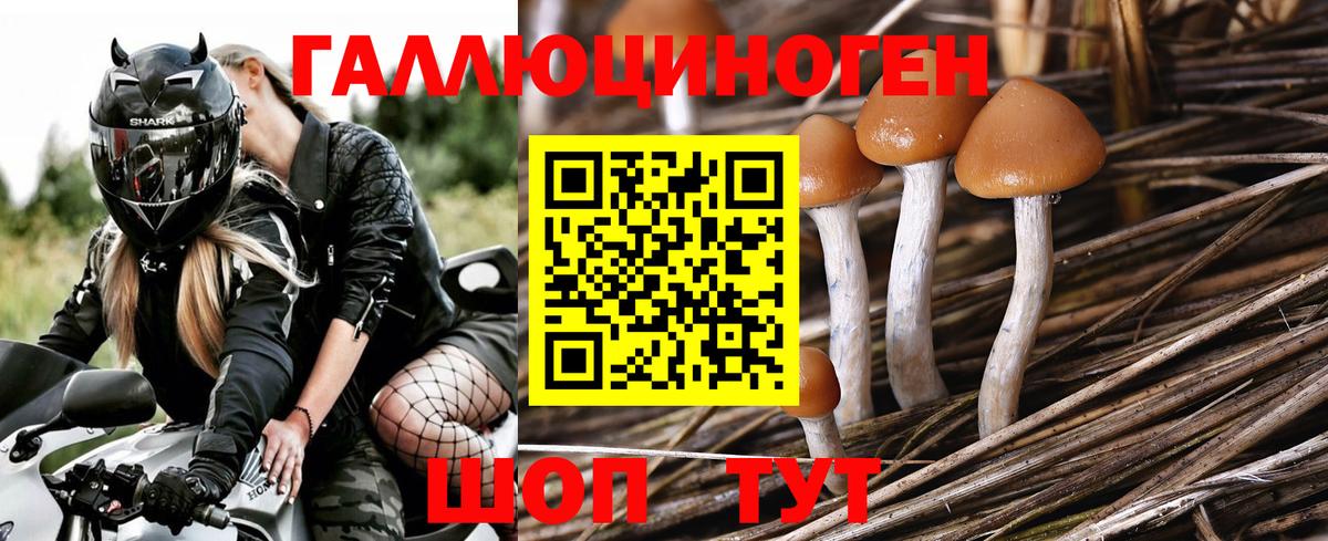 Кимры  Галлюциногенные грибы Psilocybe  Вход с VPN  Псилоцибиновые грибы мухоморы 