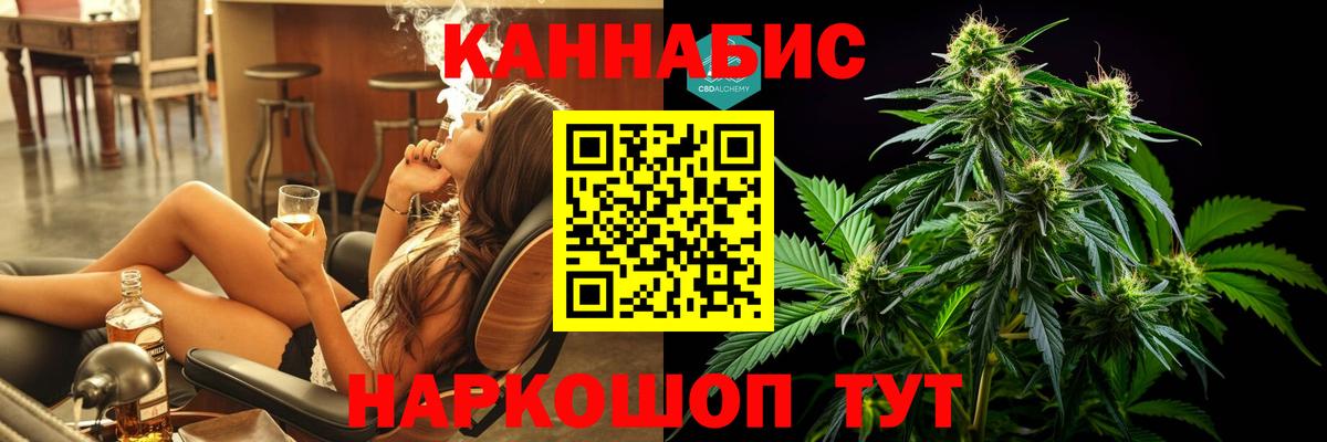 Конопля сатива Кимры